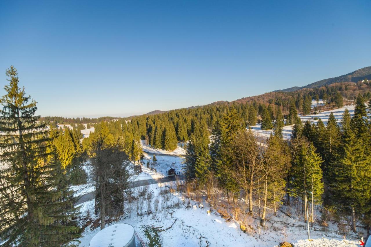 Forest Corner In Silver Mountain Of Пояна-Брашов Экстерьер фото