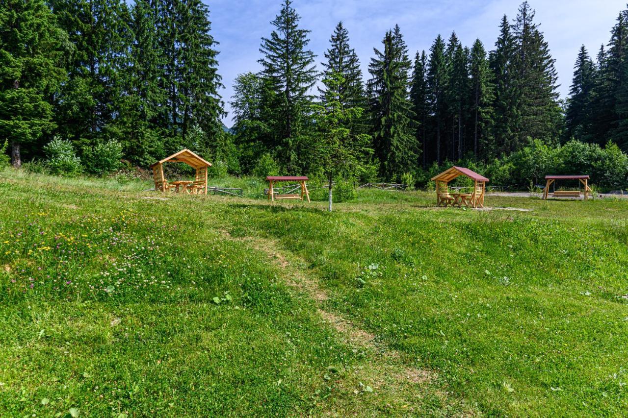 Forest Corner In Silver Mountain Of Пояна-Брашов Экстерьер фото